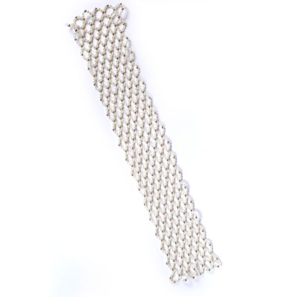 Choti Chic Net White and Gold