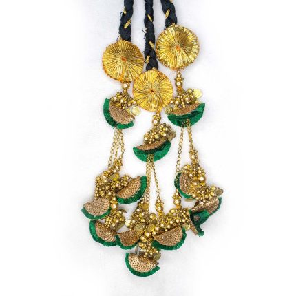 Raani Parandi With Green Fur