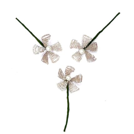 Triflora